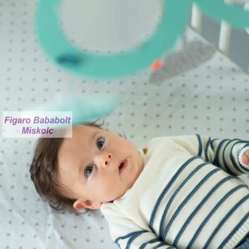 Taf Toys zenélő-forgó elektromos Sweet Dreams