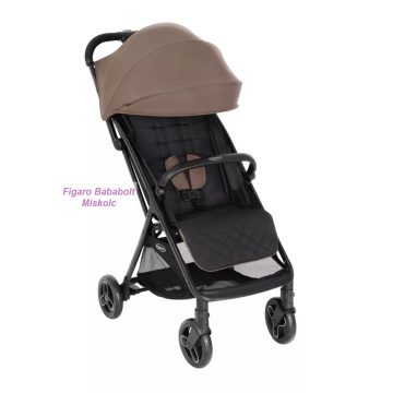 GRACO MYAVO BABAKOCSI FOSSIL
