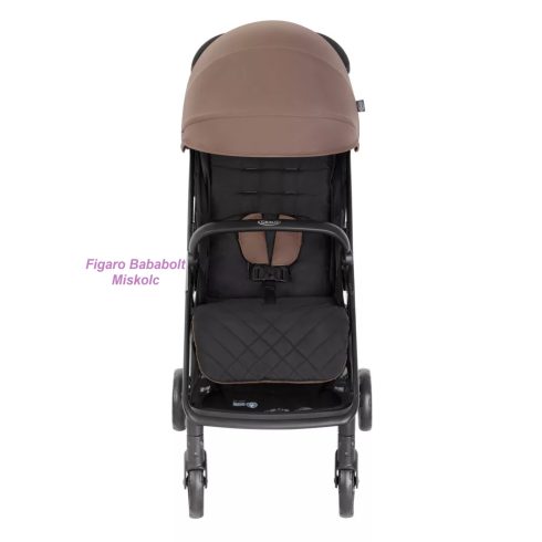 GRACO MYAVO BABAKOCSI FOSSIL