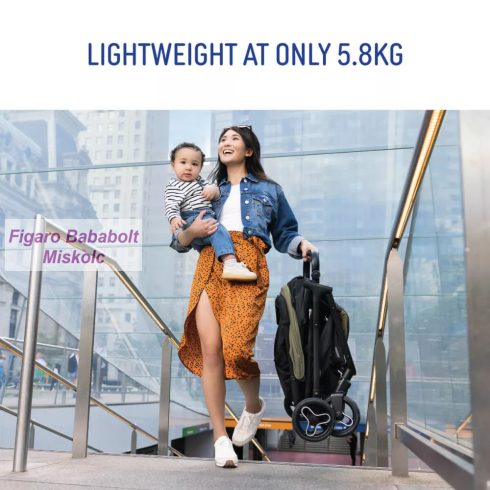 GRACO MYAVO BABAKOCSI FOSSIL