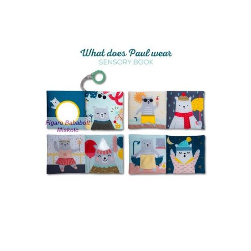 Taf Toys könyv " Macis "