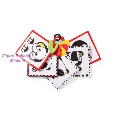 Babyono fejlesztő kártyák 781