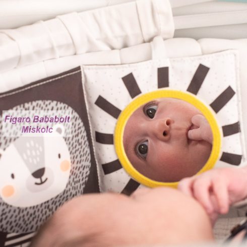  Taf Toys bébikönyv puha Szavanna