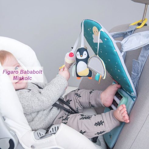 Taf Toys játék autóba North Pole Északi sark